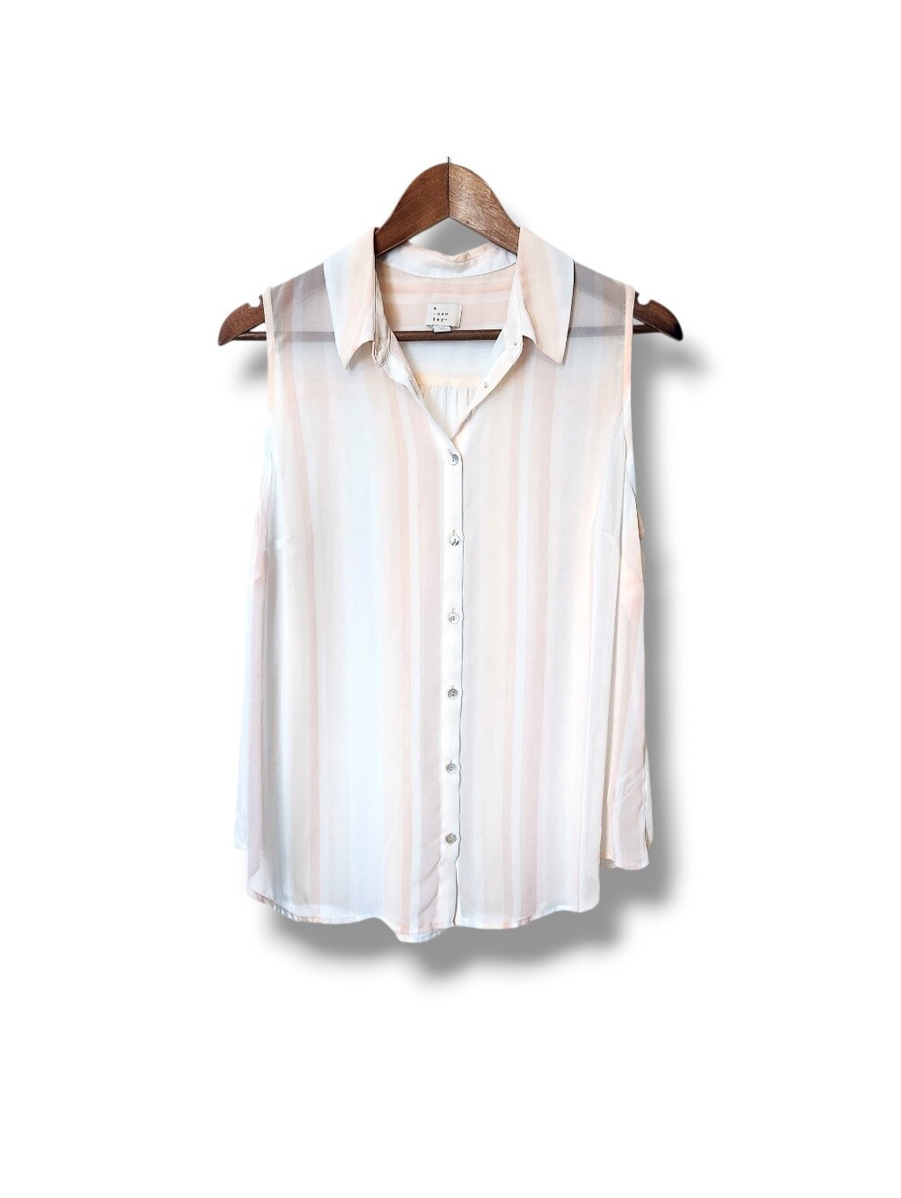 A New Day Sheer Striped Sleeveless Button-Down Blouse | XL